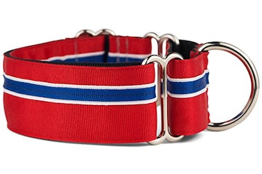 If It Barks 15 Martingale Collar for Dogs Adjustable Nylon Strong and Comfy Ideal for Training Made in USA Large Patriotic