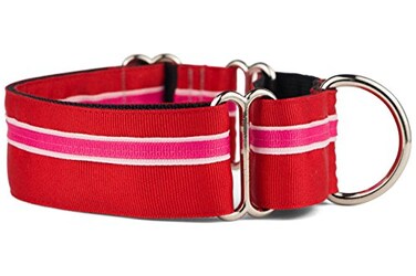 If It Barks 15 Martingale Collar for Dogs Adjustable Nylon Strong and Comfy Ideal for Training Made in USA Large Shortcake