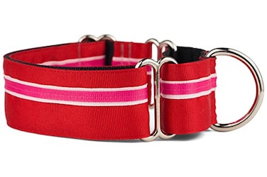 If It Barks 15 Martingale Collar for Dogs Adjustable Nylon Strong and Comfy Ideal for Training Made in USA Small Shortcake