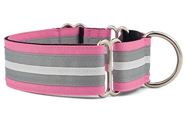 If It Barks 15 Martingale Collar for Dogs Adjustable Nylon Strong and Comfy Ideal for Training Made in USA Medium Spunky