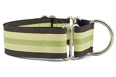 If It Barks 15 Martingale Collar for Dogs Adjustable Nylon Made in USAKey Lime PieSmall 11 15