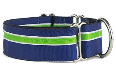 If It Barks 15 Martingale Collar for Dogs Adjustable Nylon Strong and Comfy Ideal for Training Made in USA Large Finley