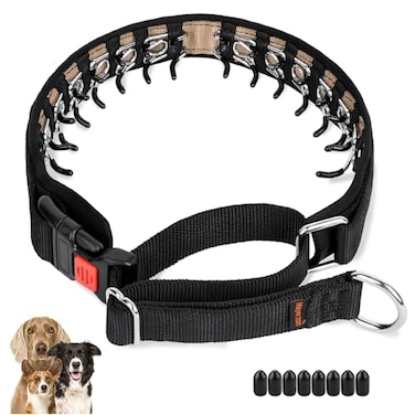 Mayerzon Dog Collar Patented Martingale No Pull Collar for Small Medium Large Dogs with Buckle for Walking Training Hidden Design Black Medium25mm145185 Neck