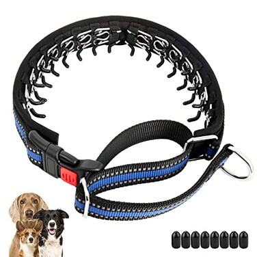 Mayerzon Martingale Collar for Dogs No Pull Dog Collar with Reflective Strip for Small Medium Large Dogs Anti Pulling Dog Collar with Buckle for Walking Training Safe for Night WalkBlue L