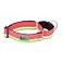 RC Pet Products RC Pets 112 Inch All Webbing Martingale Training Dog Collar Large Watermelon