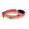 RC Pet Products RC Pets 112 Inch All Webbing Martingale Training Dog Collar Large Watermelon
