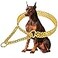 KINGOLDOGS Gold 18K Gold Dog Chain Collar Stainless Steel Adjustable Chew Proof Cuban Link Double Row Walking Collar for Large Small Medium Dogs