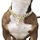 SUNEW Adjustable Strong Lobster Clasps Dog Titan Collar Training Walking Metal Dog Duty Chew Proof for Medium Large Dogs American Pitbull German Shepherd