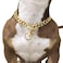 SUNEW Adjustable Strong Lobster Clasps Dog Titan Collar Training Walking Metal Dog Duty Chew Proof for Medium Large Dogs American Pitbull German Shepherd