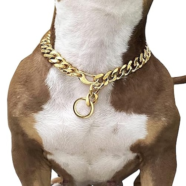 SUNEW Adjustable Strong Lobster Clasps Dog Titan Collar Training Walking Metal Dog Duty Chew Proof for Medium Large Dogs American Pitbull German Shepherd