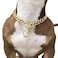 SUNEW Adjustable Strong Lobster Clasps Dog Titan Collar Training Walking Metal Dog Duty Chew Proof for Medium Large Dogs American Pitbull German Shepherd
