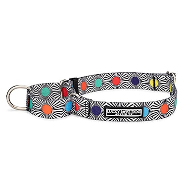 Lucky Love Dog Adjustable Fun Style Martingale Collar for Dogs Comfy Bright Color Premium No Slip Dog Collar Small SOCO Mart