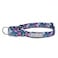 Lucky Love Dog Martingale Dog Collar Adjustable NoSlip Comfortable Durable Soft Webbing Stylish Patterned Collar for Male and Female Dogs Ideal for Training Walking Carriebelle Small