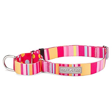 Lucky Love Dog Martingale Dog Collar Adjustable NoSlip Durable Soft Webbing Collar for Male and Female Dogs Ideal for Training Walking Molly Large