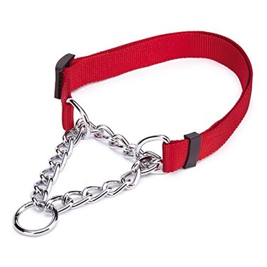 Guardian Gear ChokeStyle Adjustable Martingale Dog Collar