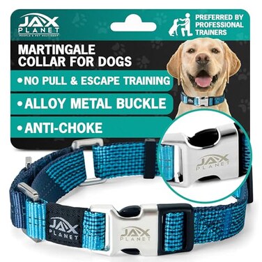JAX PLANET Blue Martingale Collar for Dogs Heavy Duty Nylon Pet Collars for EscapeFree No Pull Training Walking with Alloy Metal Release Buckle Reflective D Ring One Time Adjustment Safe Secure M