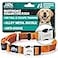 JAX PLANET Orange Martingale Collar for Dogs Heavy Duty Nylon Pet Collars for EscapeFree No Pull Training Walking with Alloy Metal Release Buckle Reflective D Ring One Time Adjustment Safe Secure S
