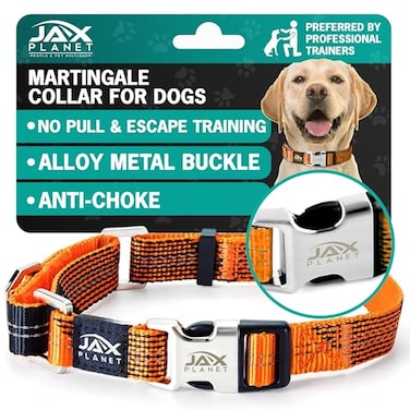 JAX PLANET Orange Martingale Collar for Dogs Heavy Duty Nylon Pet Collars for EscapeFree No Pull Training Walking with Alloy Metal Release Buckle Reflective D Ring One Time Adjustment Safe Secure S