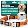 JAX PLANET Orange Martingale Collar for Dogs Heavy Duty Nylon Pet Collars for EscapeFree No Pull Training Walking with Alloy Metal Release Buckle Reflective D Ring One Time Adjustment Safe Secure S