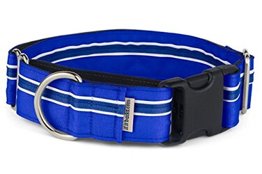 If It Barks 15 Martingale Collar for Dogs Quick Snap Release Buckle Adjustable Nylon Strong and Comfy Ideal for Training Made in USA Large Blueberry