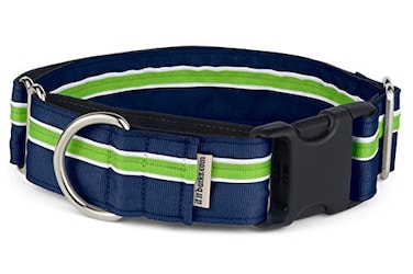 If It Barks 15 inch Martingale Dog Collars Quick Snap Release Buckle Adjustable Nylon Strong and Comfy Ideal for Training Made in USA Small Finley