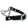 JIM HODGES DOG TRAINING Martingale Collar for Dogs Biothane Stainless Steel Hardware No Pull Made in The USA Professional Grade Large Black