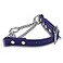 JIM HODGES DOG TRAINING Martingale Collar for Dogs Biothane Stainless Steel Hardware No Pull Made in The USA Professional Grade Small Purple