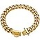W/W Lifetime Gold Dog Chain Collar Walking Metal Chain Collar with Design Secure Buckle18K Cuban Link Strong Heavy Duty Chew Proof for Small Dogs19MM 12