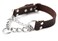 Mighty Paw Martingale Dog Collar No Pull Design Stainless Steel Chain Limited Chain Cinch Training Brown Leather Martingale Training Collar Small Size