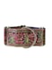 SightHound Gang Martingale Dog Collar for Greyhound Saluki Whippet and Other Breeds with Similar Neck 2 Wide M 1114