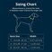 Ruffwear Chain Reaction Dog Collar Adjustable Reflective Martingale EscapeProof Collar with Stainless Steel Chain Professional Training Control Blue Pool 1420
