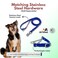 JIM HODGES DOG TRAINING Martingale Collar for Dogs Biothane Stainless Steel Hardware No Pull Made in The USA Professional Grade Medium Blue