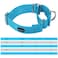 Mikivery Martingale Dog Collar Nylon Adjustable and Safety Training Colourful Comfortable Metal Buckle Pet Collars for Small Medium and Large DogsIce BlueL
