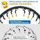 Mayerzon No Pull Dog Collar Patented Martingale Collar for Small Medium Large Dogs with Buckle and Heavy Duty Nylon for Walking Training Hunting Safe and Easy to UseXL Blue