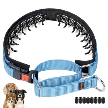 Mayerzon No Pull Dog Collar Patented Martingale Collar for Small Medium Large Dogs with Buckle and Heavy Duty Nylon for Walking Training Hunting Safe and Easy to UseXL Blue