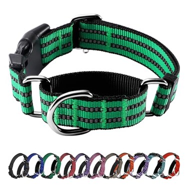 Hikiko Martingale Dog Collars Reflective Nylon Dog Collar with Quick Release Buckle Adjustable Training No Slip Dog Collar Large Green