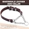 HONGSAGE Leather Martingale Dog Collar Genuine Stainless Steel Chain Martingale Collar NoPull Adjustable AntiSlip Training Walking Collar for Small Medium Large Breed Dogs Pets Small Neck 1016