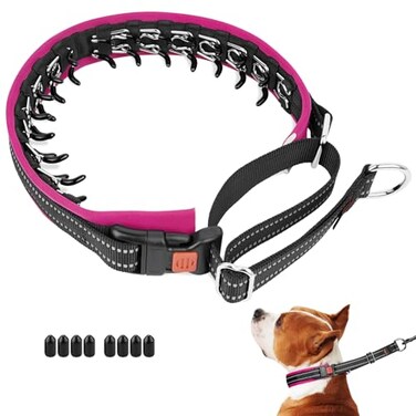 Mayerzon Martingale No Pull Collar for Medium Large Dogs Patented Anti Pull Dog Collar with Buckle for Walking Training with Neoprene Padding and Reflective Stitching AdjustableHot Pink Trim M
