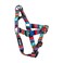Wolfgang ManBeast Wolfgang Heavy Duty Adjustable Dog Harness PullTested to Over 800 lbs for Walking Training Quetzal Print Medium