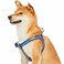 Blueberry Pet Soft Comfy 3M Reflective Stepin Pastel Color Padded Dog Harness Chest Girth 26 39 Navy Large Adjustable Harnesses for Dogs