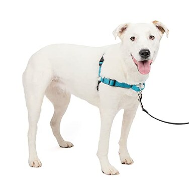 PetSafe Easy Walk Deluxe Dog Harness No Pull Dog Harness Perfect for Leash Harness Training Stops Pets from Pulling and Choking on Walks MediumLarge Ocean