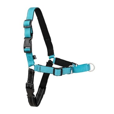 PetSafe Easy Walk Deluxe Dog Harness No Pull Dog Harness Perfect for Leash Harness Training Stops Pets from Pulling and Choking on Walks Small Ocean