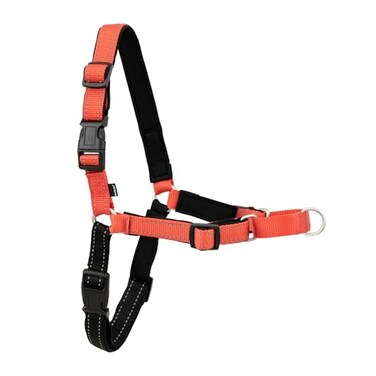 PetSafe Easy Walk Deluxe Dog Harness No Pull Dog Harness Perfect for Leash Harness Training Stops Pets from Pulling and Choking on Walks MediumLarge Rose