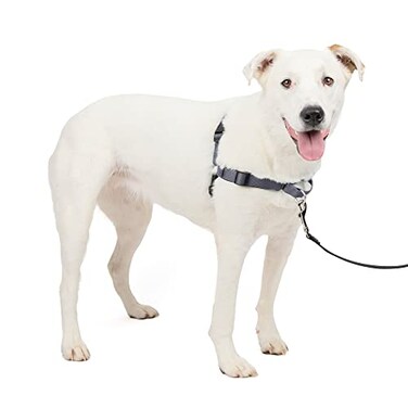 PetSafe Easy Walk Deluxe Dog Harness No Pull Dog Harness Perfect for Leash Harness Training Stops Pets from Pulling and Choking on Walks MediumLarge Steel