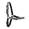 PetSafe Easy Walk Deluxe Dog Harness No Pull Dog Harness Perfect for Leash Harness Training Stops Pets from Pulling and Choking on Walks Small Steel