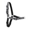 PetSafe Easy Walk Deluxe Dog Harness No Pull Dog Harness Perfect for Leash Harness Training Stops Pets from Pulling and Choking on Walks Small Steel