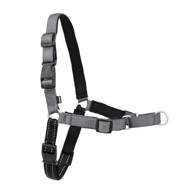 PetSafe Easy Walk Deluxe Dog Harness No Pull Dog Harness Perfect for Leash Harness Training Stops Pets from Pulling and Choking on Walks Small Steel