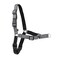 PetSafe Easy Walk Deluxe Dog Harness No Pull Dog Harness Perfect for Leash Harness Training Stops Pets from Pulling and Choking on Walks Small Steel