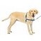 PetSafe Easy Walk NoPull Dog Harness Ultimate Harness to Help Stop Pulling PullFree Walks Take Control Teach Better Leash Manners Patented Martingale Loop Design Royal Blue Large