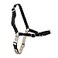PetSafe Easy Walk NoPull Dog Harness Ultimate Harness to Help Stop Pulling PullFree Walks Take Control Teach Better Leash Manners Patented Martingale Loop Design Black XLarge